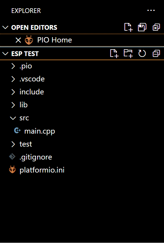 Sample PlatformIO project filesystem on creation